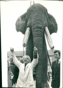 Elephant Animal. - Vintage Photograph