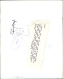 Elephant Animal. - Vintage Photograph