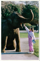 Elephant Animal. - Vintage Photograph