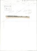 Elephant Animal. - Vintage Photograph