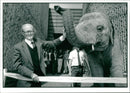 Elephant Animal. - Vintage Photograph