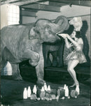 Elephant Animal. - Vintage Photograph