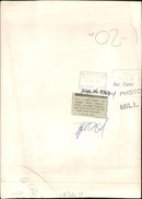 Elephant Animal. - Vintage Photograph