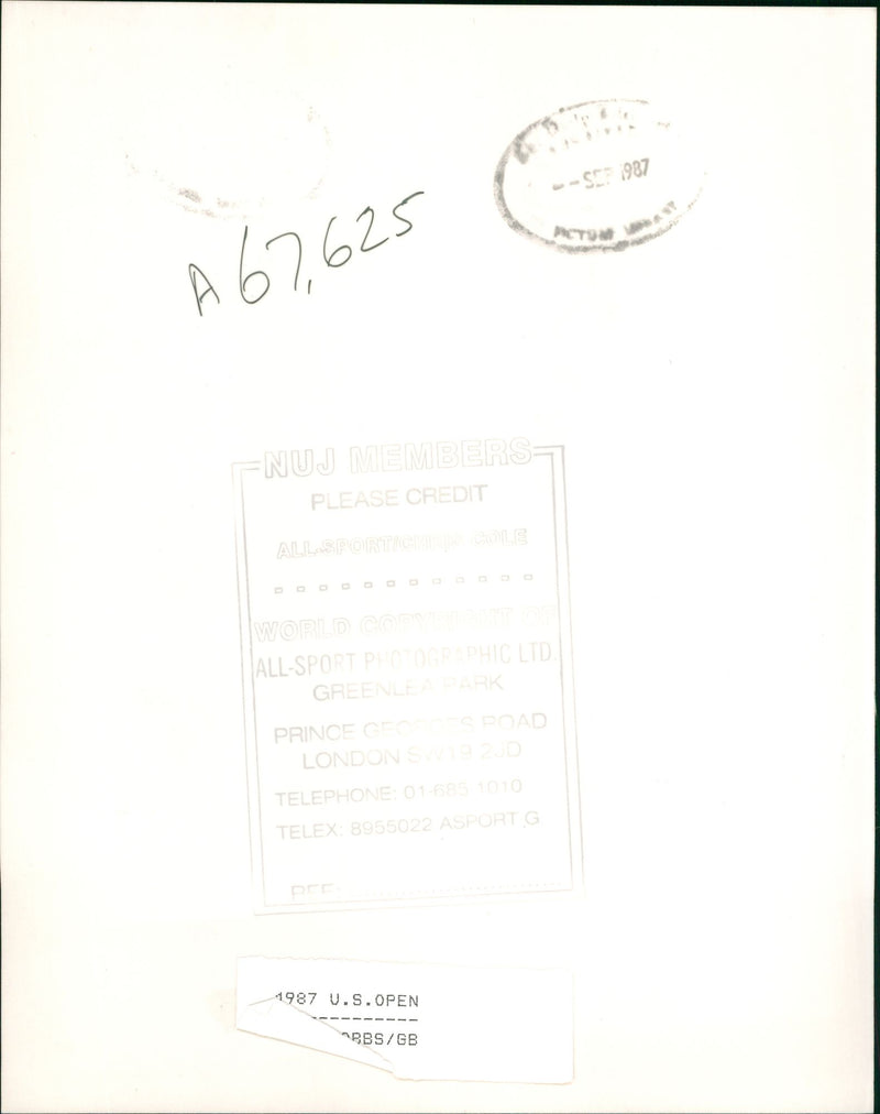 Anne Hobbs - Vintage Photograph