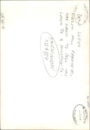 Animal Sheeps. - Vintage Photograph