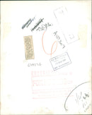 Barbary Wild Sheep - Vintage Photograph