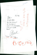 Animal Sheeps. - Vintage Photograph