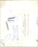 Animal Sheeps. - Vintage Photograph