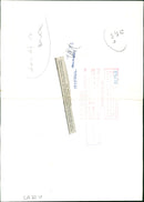 Barbary Sheeps. - Vintage Photograph