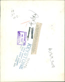 Animal Sheeps. - Vintage Photograph