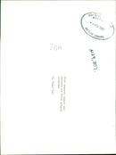 Animal Sheeps. - Vintage Photograph