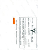 NATIONAL SWEDEN ANIMALS IMAGE DELIVERY PLAYER CODE WIK ROTH - Vintage Photograph