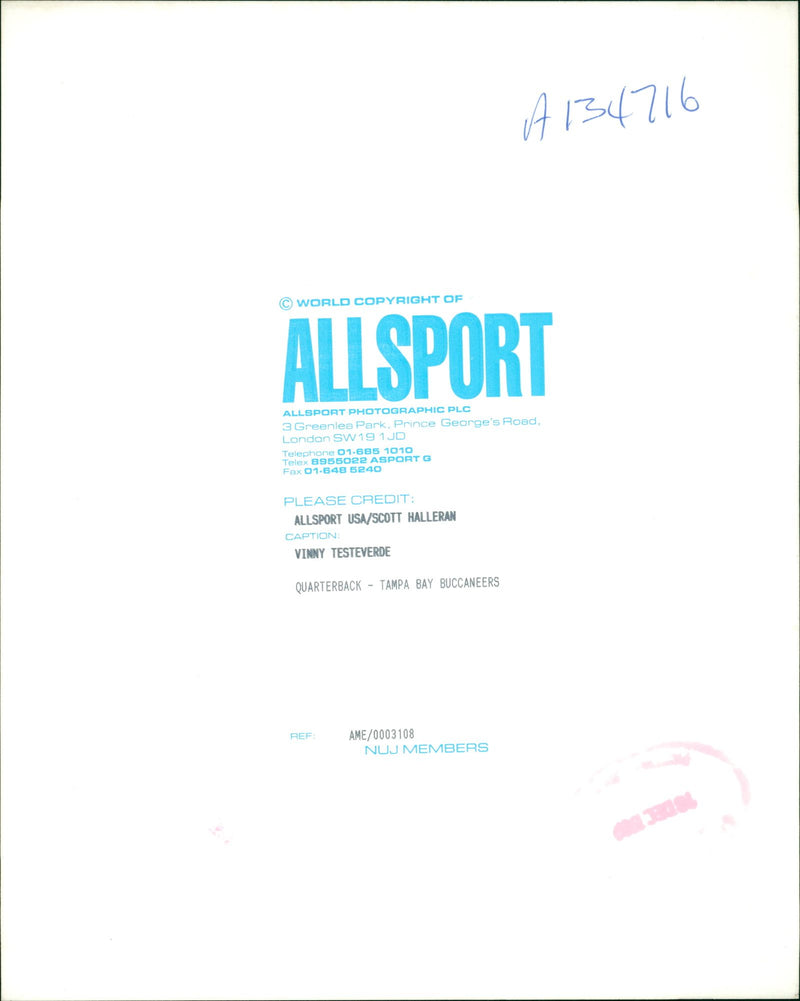 Vinny Testaverde American football quarterback - Vintage Photograph