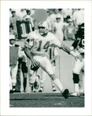 Vinny Testaverde American football quarterback - Vintage Photograph