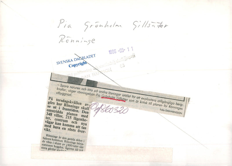 1986 OTHER VAGS FUTURE STABLES CRITICAL DINING ANYOSA JUST NATURE - Vintage Photograph