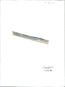 Will Carling Rugby player - Vintage Photograph