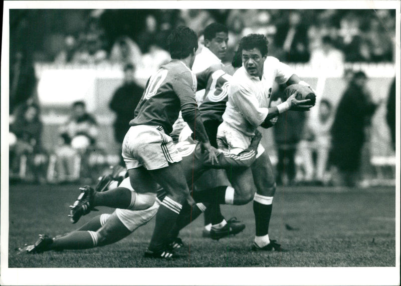 Will Carling Rugby player - Vintage Photograph