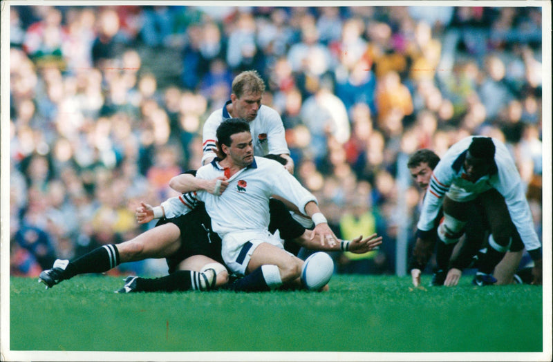 Will Carling Rugby player - Vintage Photograph