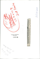 Will Carling Rugby player - Vintage Photograph