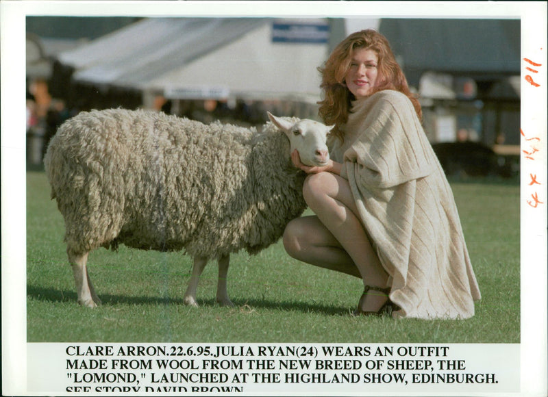 Animal Sheep, Julia Ryan Wear An Outfit Made From Wool From The New Breed of Sheep. - Vintage Photograph