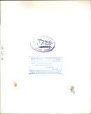 Animal Sheep. - Vintage Photograph