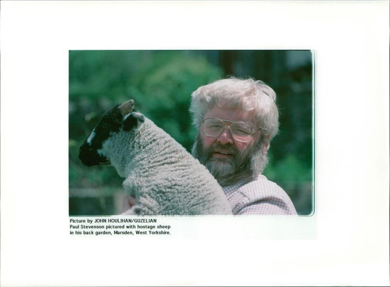 Sheep Animal - Vintage Photograph