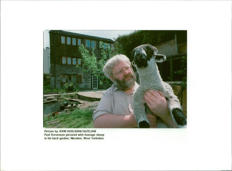 Sheep Animal - Vintage Photograph