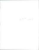 Sheep Animal - Vintage Photograph