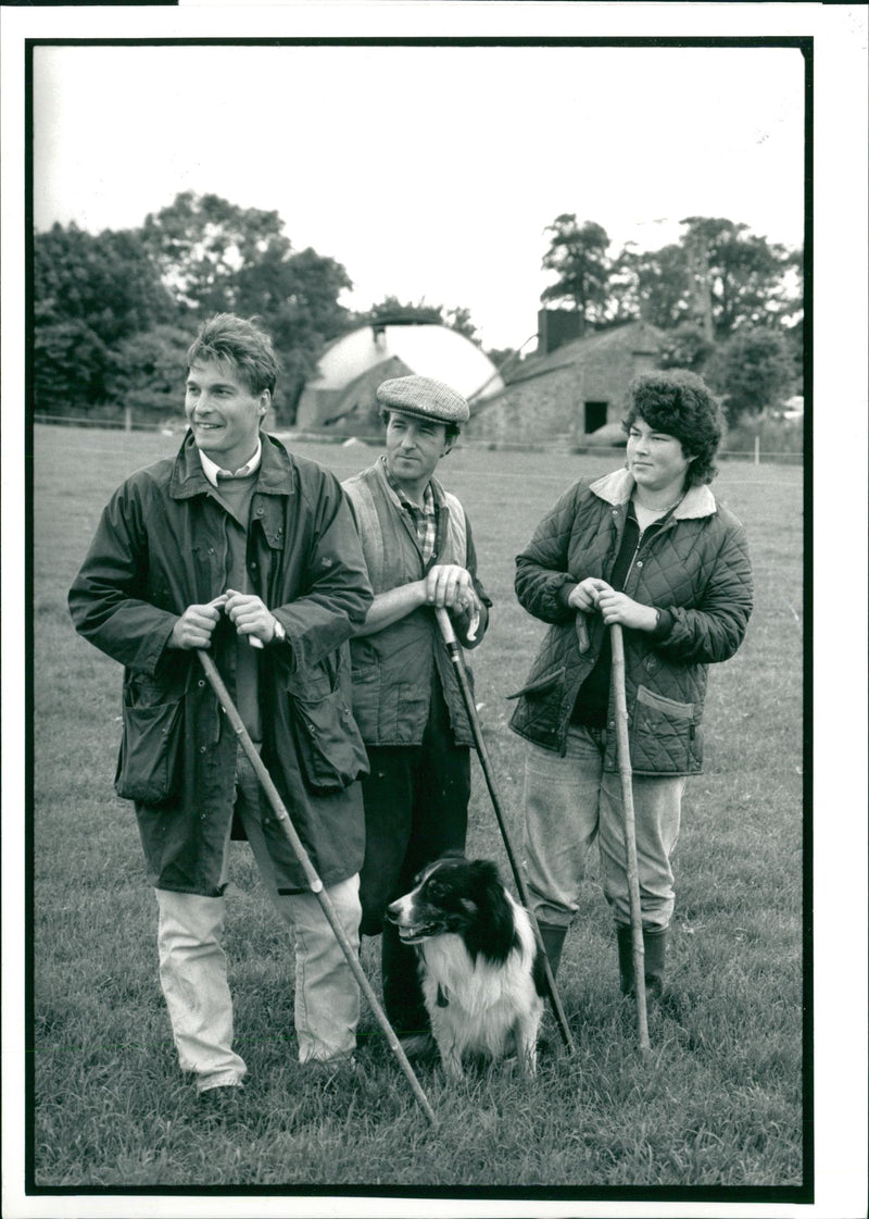 Sheep Animal - Vintage Photograph