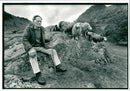 Animal Sheep - Vintage Photograph