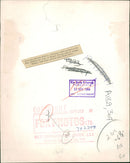 Animal Sheep - Vintage Photograph