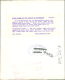 Animal Sheep - Vintage Photograph