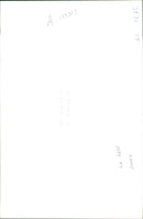 Animal Sheep - Vintage Photograph