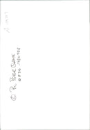 Animal Sheep - Vintage Photograph