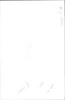 Animal Sheep - Vintage Photograph