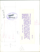 Animal Sheep. - Vintage Photograph