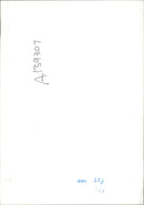 Animal Sheep. - Vintage Photograph