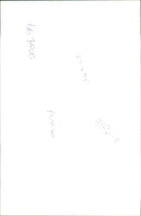 Animal Sheep. - Vintage Photograph