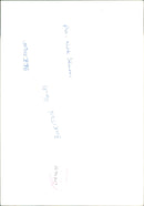 Animal Sheep. - Vintage Photograph