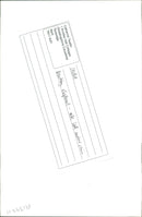 Elephant Animal - Vintage Photograph