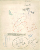 Rajah, the London Zoo's Indian elephant, is to be shot after appeals against the decision fail. - Vintage Photograph