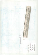 Elephant Animal - Vintage Photograph