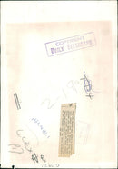 Elephant Animal - Vintage Photograph