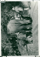 Elephant Animal - Vintage Photograph