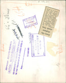 Elephant Animal - Vintage Photograph