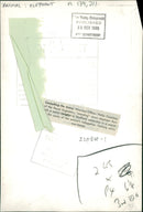 Elephant Animal - Vintage Photograph