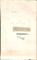 Elephant Animal - Vintage Photograph