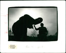 Elephant Animal - Vintage Photograph
