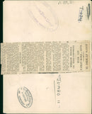 Elephant Animal - Vintage Photograph