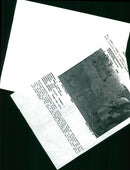 Elephant Animal - Vintage Photograph